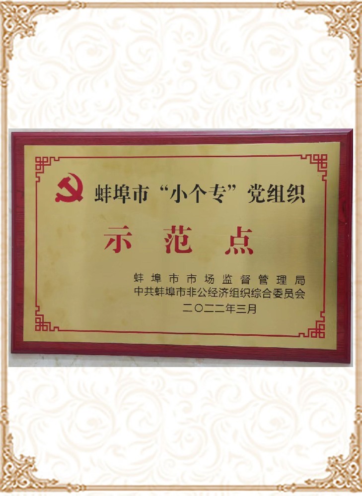 蚌埠市“小個?！秉h組織示范點